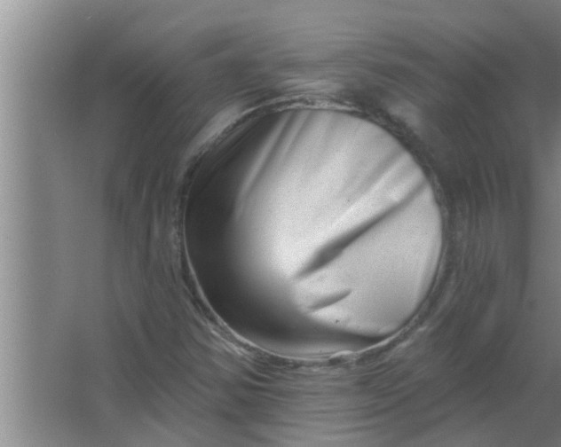 X0000063491354200602031941