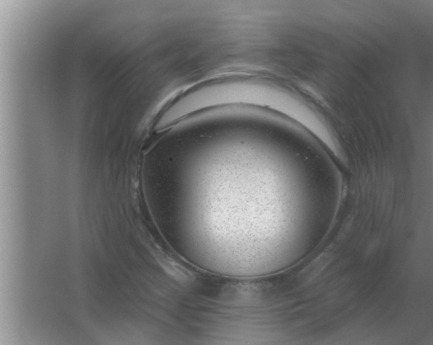 X0000063491355200602031941