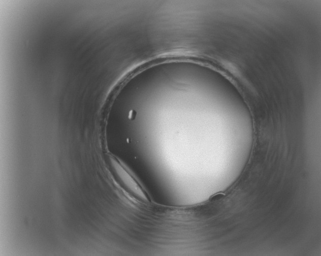 X0000063491356200602031941