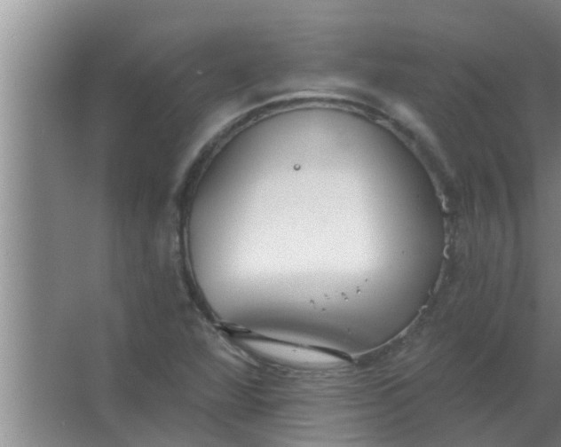 X0000063491360200602031941