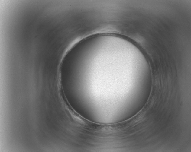 X0000063491366200602031940