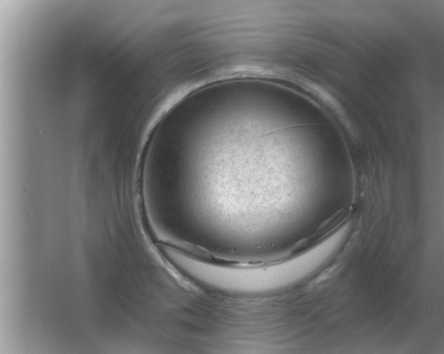 X0000063491373200602031940