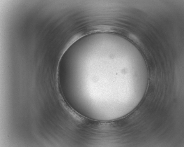 X0000063491378200602031940