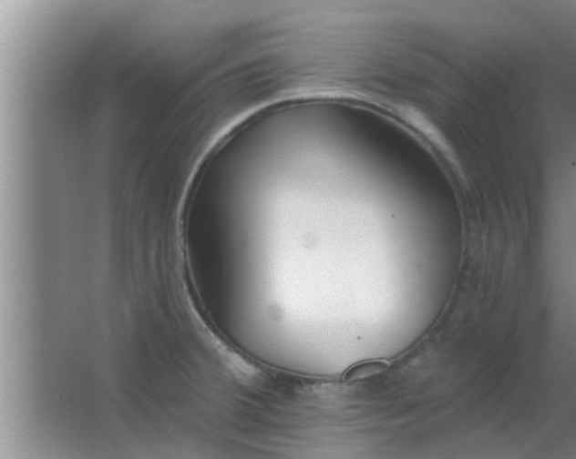 X0000063491380200602031940