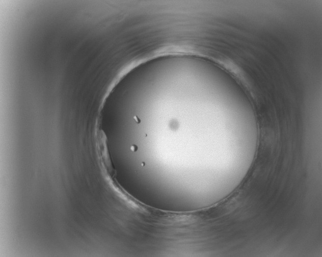 X0000063491382200602031940