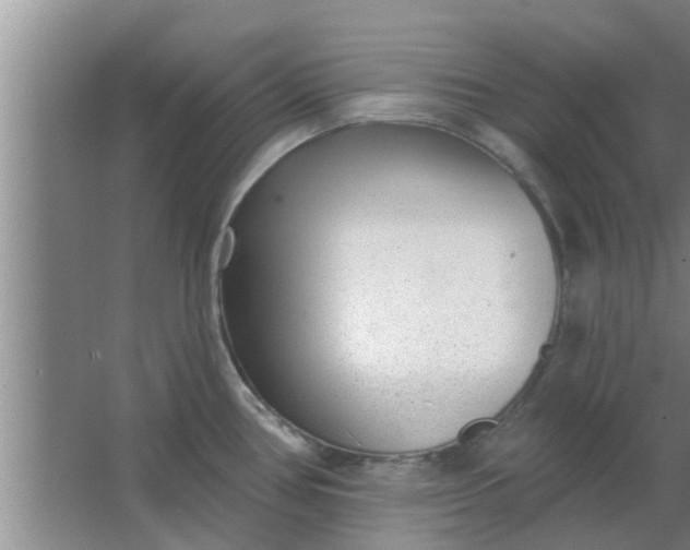 X0000063491386200602031940