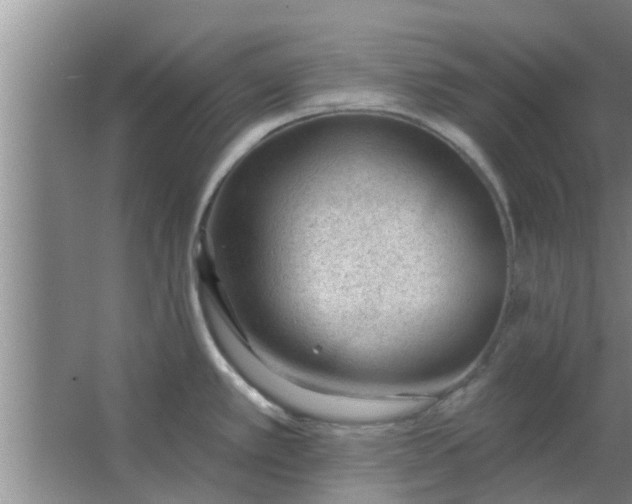 X0000063491389200602031940