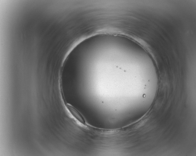 X0000063491390200602031940