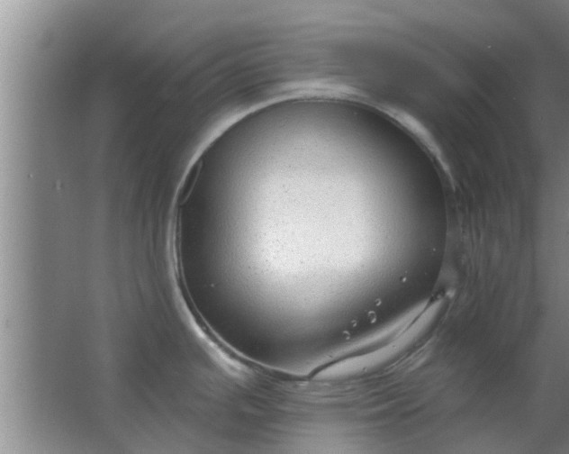 X0000063491391200602031940