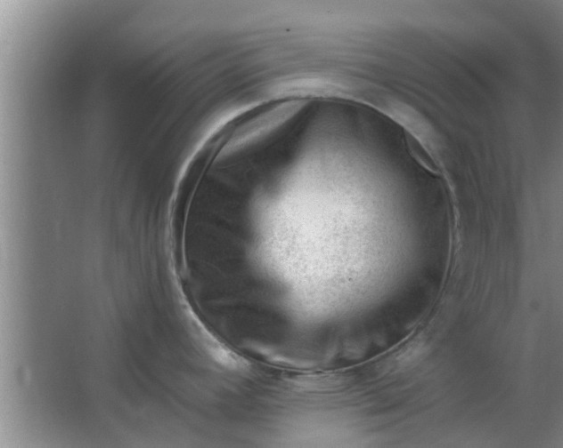 X0000063491392200602031940