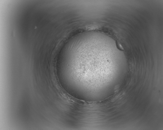 X0000063491393200602031939