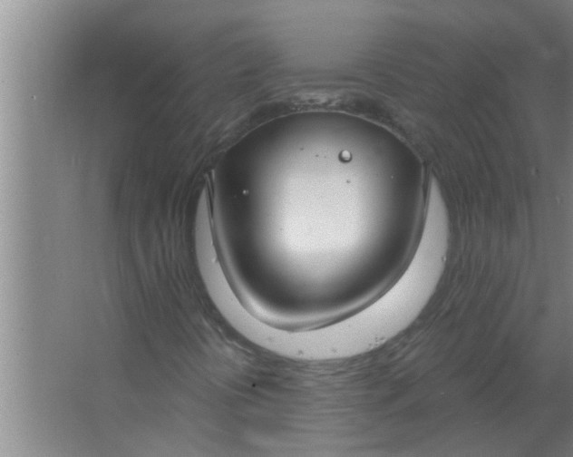 X0000063491394200602031939