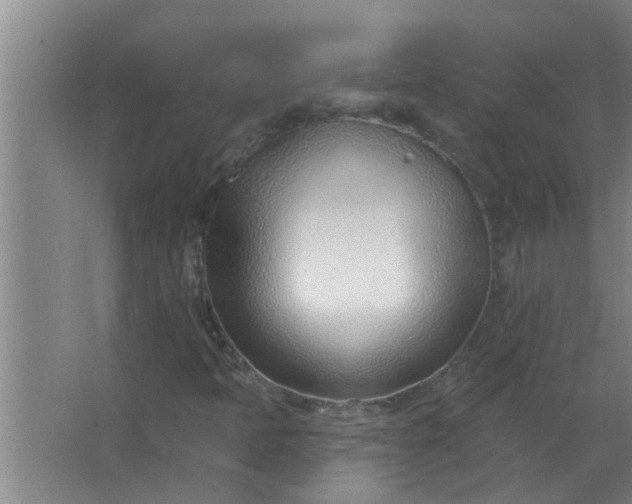 X0000063491397200602031939