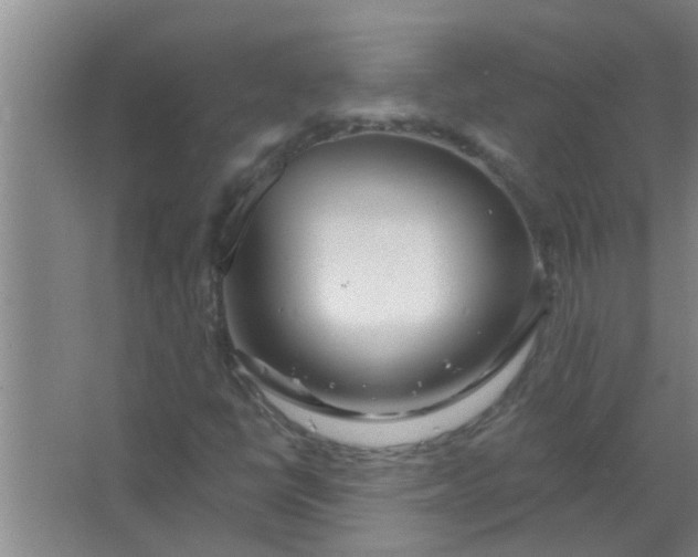 X0000063491398200602031939