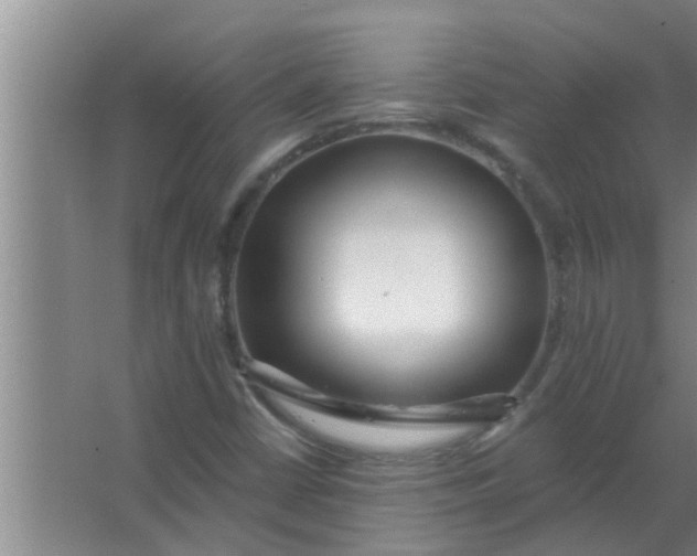 X0000063491402200602031939