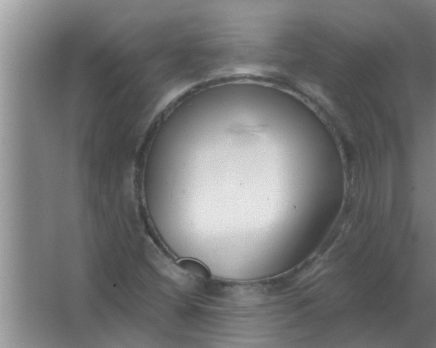 X0000063491404200602031939