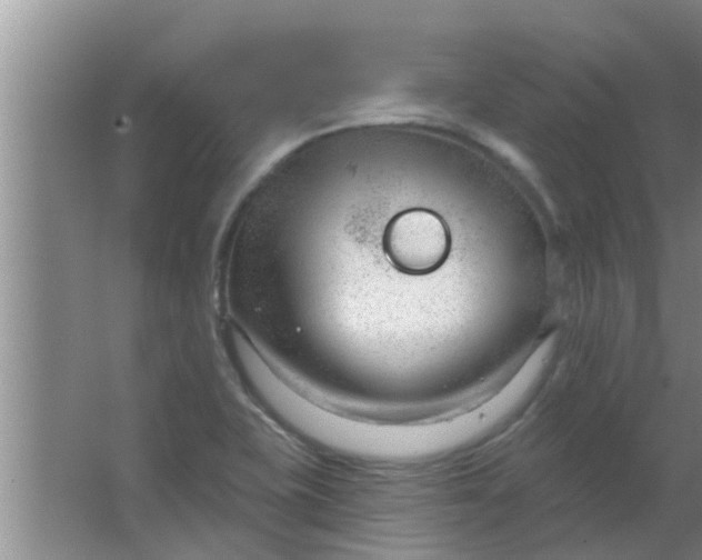 X0000063491415200602031940