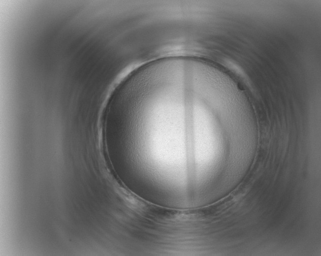 X0000063491419200602031940