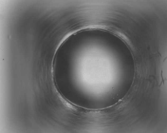 X0000063491428200602031940