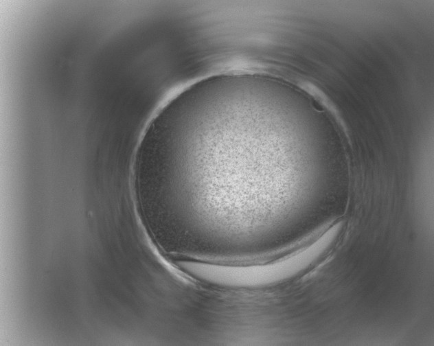 X0000063491429200602031940