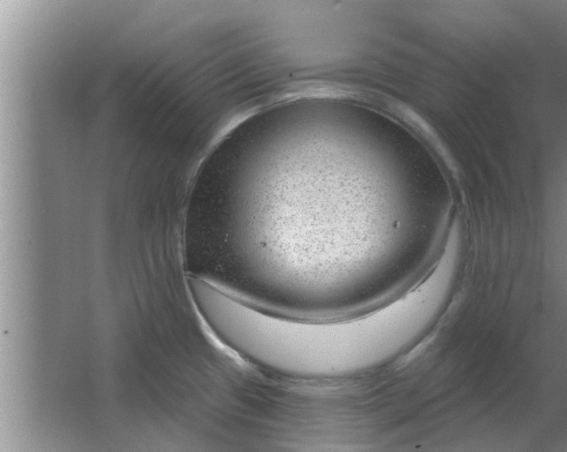 X0000063491433200602031940