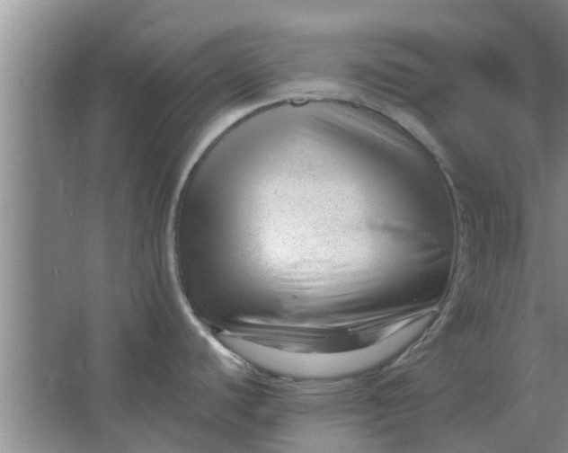 X0000063491440200602031940