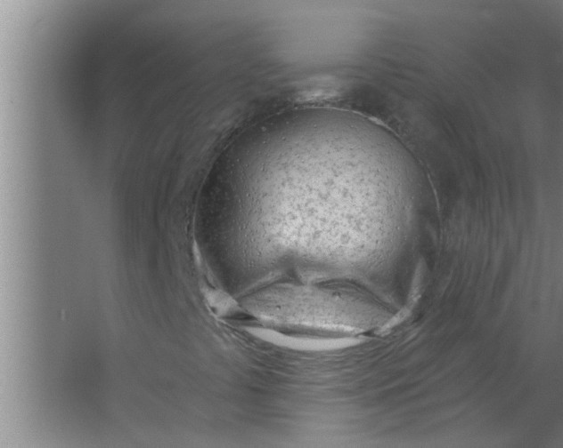 X0000063491441200602031939