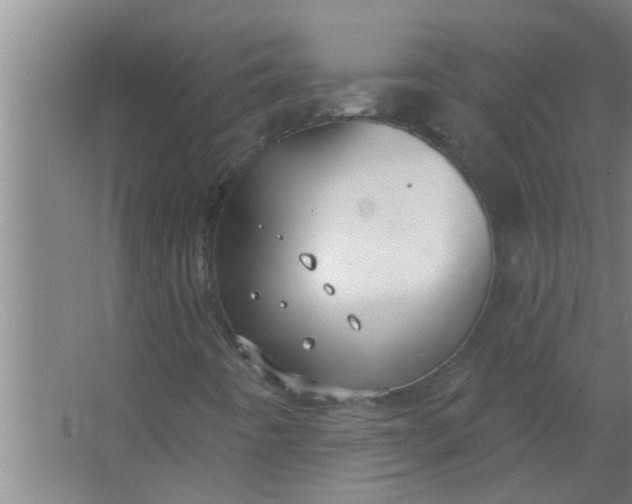 X0000063491442200602031939