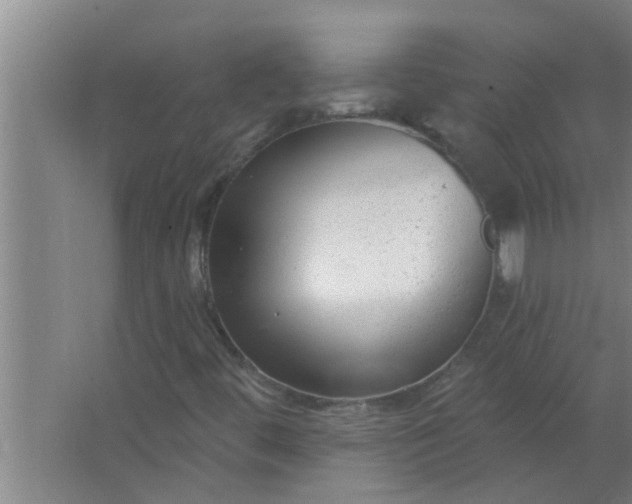 X0000063491444200602031939