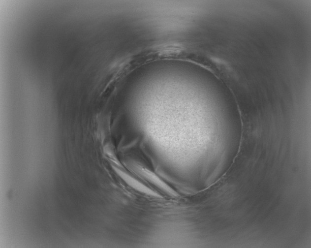 X0000063491445200602031939