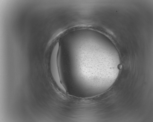 X0000063491448200602031939