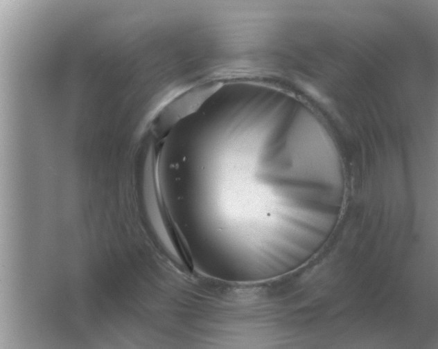 X0000063491453200602031939