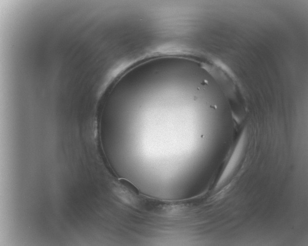 X0000063491461200602031939