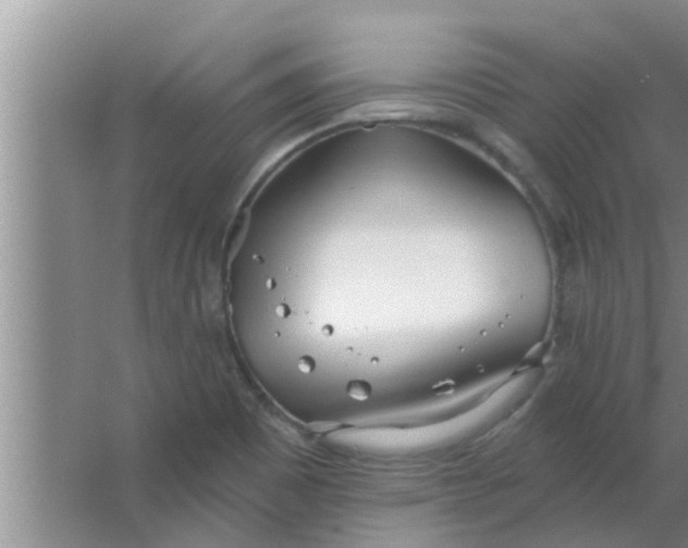 X0000063491465200602031939