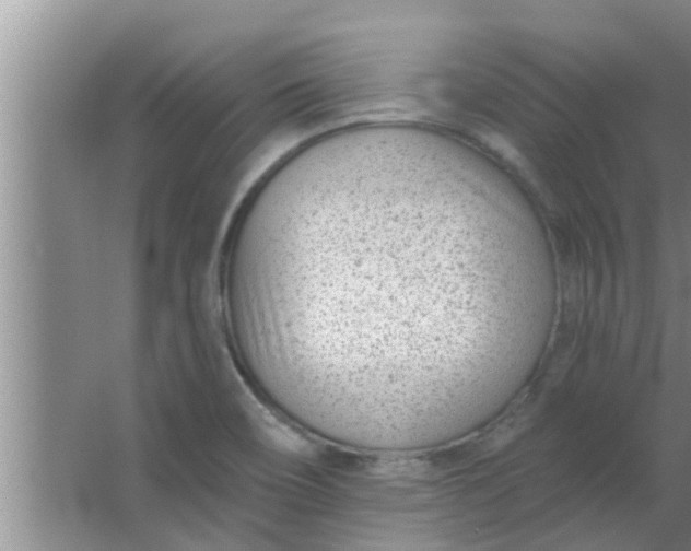 X0000063491466200602031939