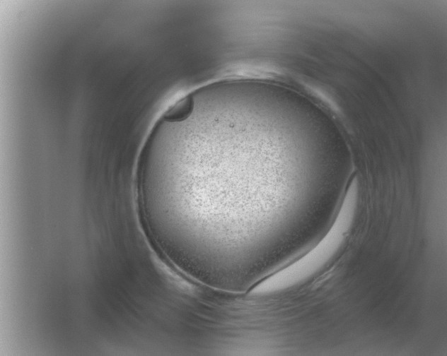 X0000063491471200602031939