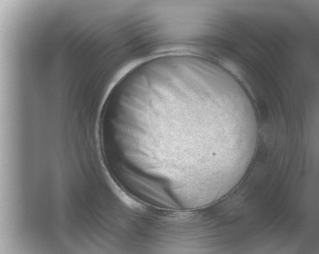 X0000063491482200602031939