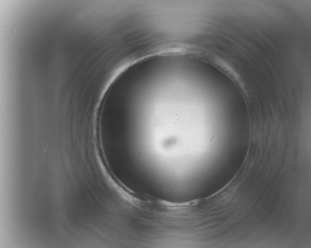 X0000063491483200602031939