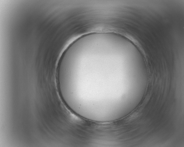 X0000063491486200602031938