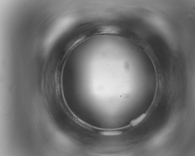 X0000063491487200602031938