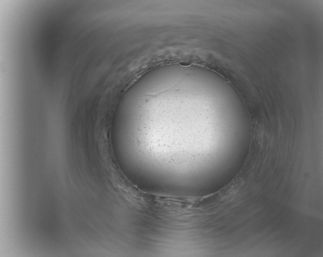 X0000063491489200602031938