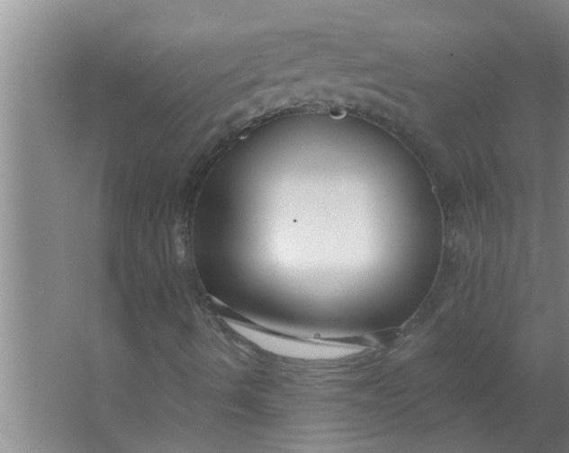 X0000063491490200602031938