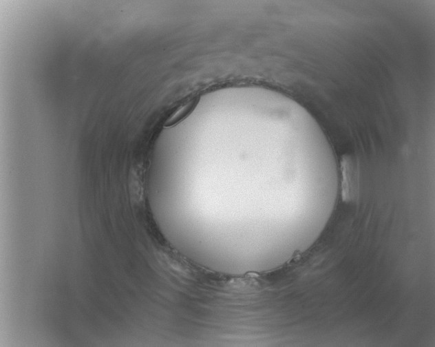 X0000063491491200602031938