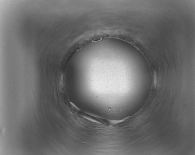 X0000063491492200602031938