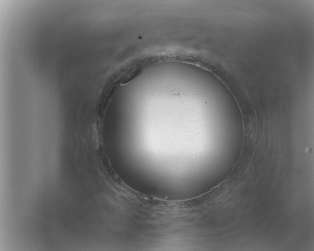 X0000063491493200602031938