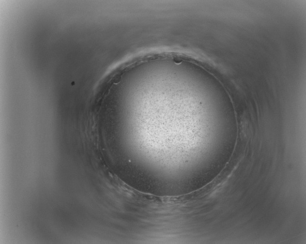 X0000063491494200602031938