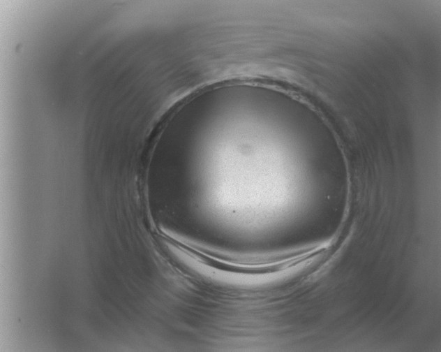 X0000063491497200602031938