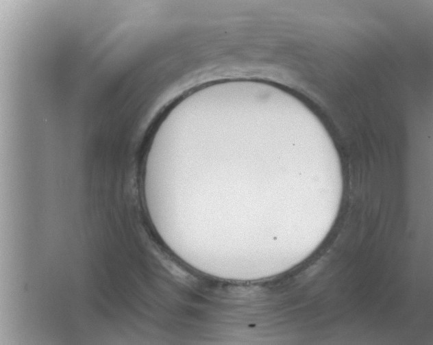 X0000063491498200602031938