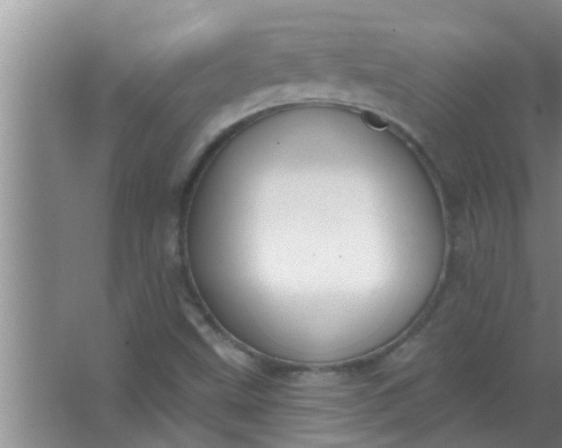 X0000063491499200602031938