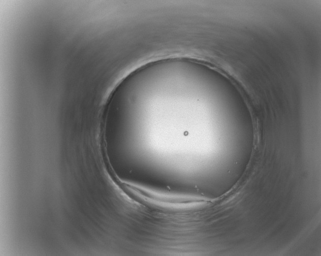 X0000063491500200602031938